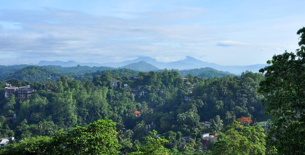 Primrose Inn Kandy Rom bilde